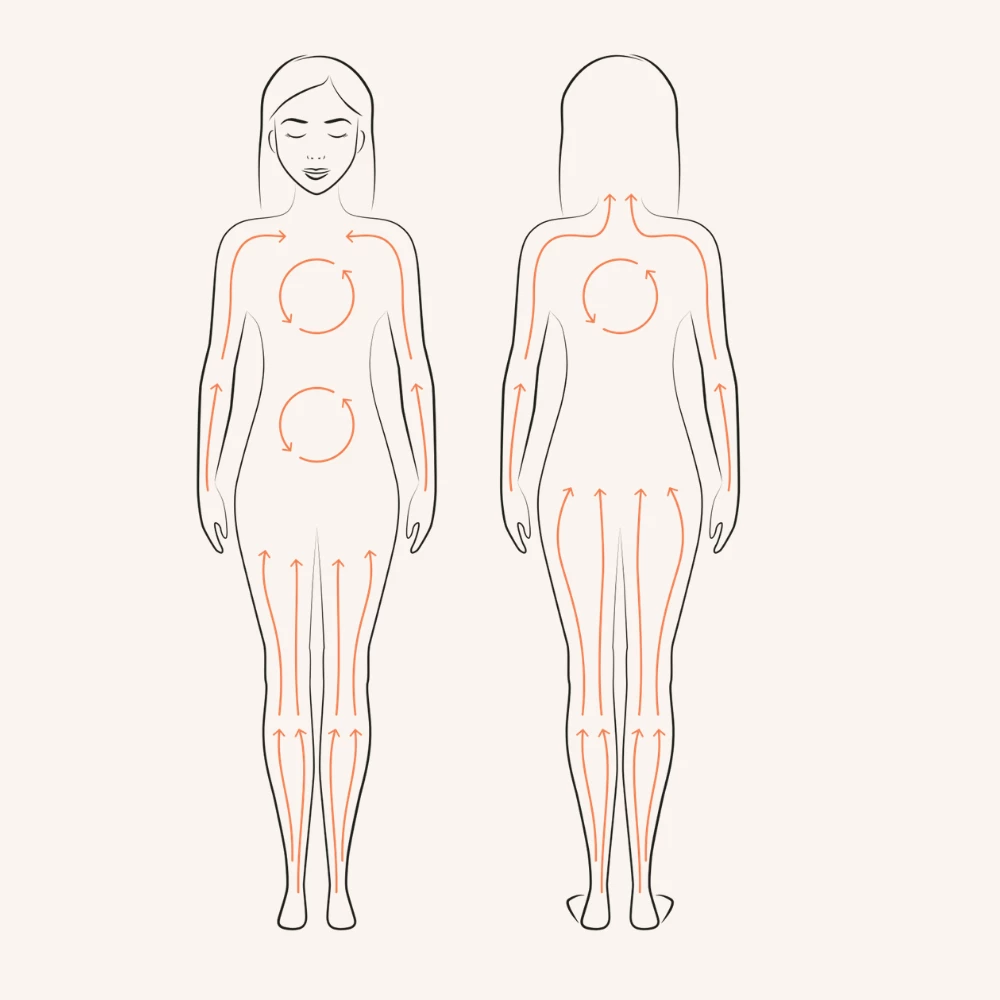 The Soft Dry Brush Brosse Peau Sensible – Image 4